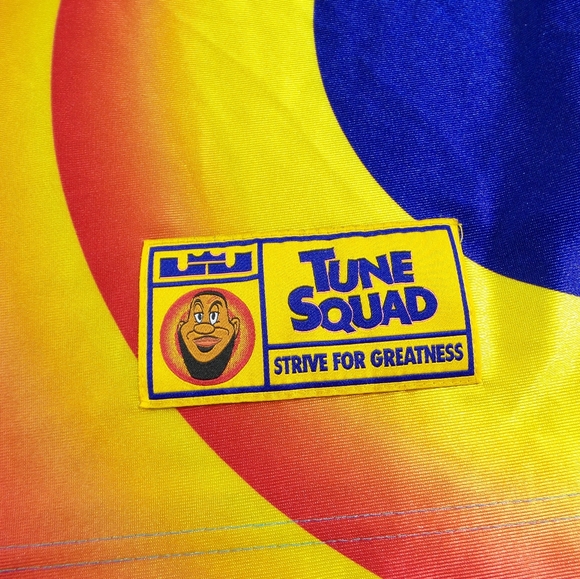 Nike LeBron James Space Jam Tune Squad Basketball Jersey Size Mens M - Picture 4 of 7